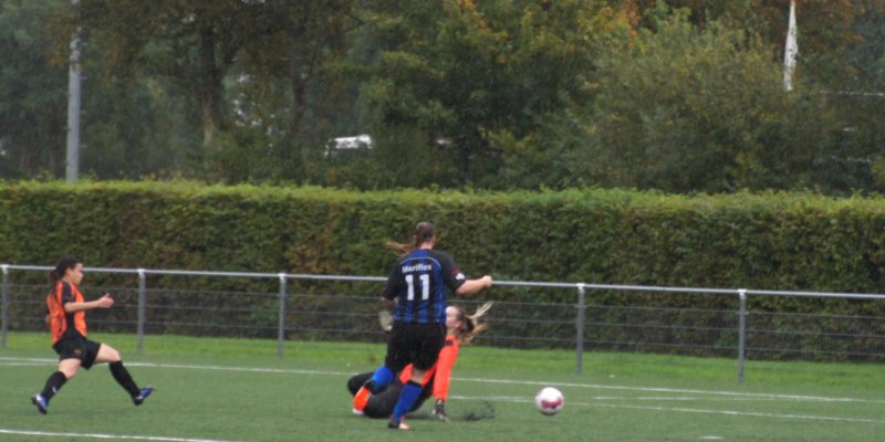 on-smdk_14_5-0.jpg