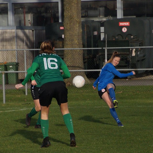 tkb-hvb_14.jpg