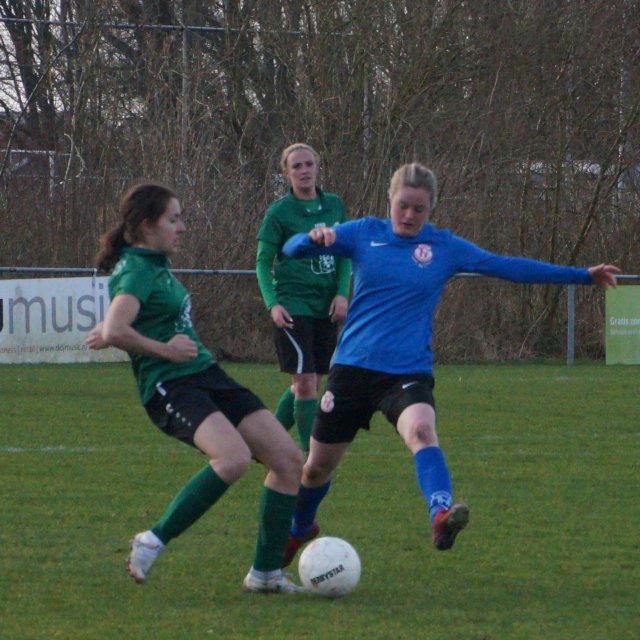 tkb-hvb_15.jpg